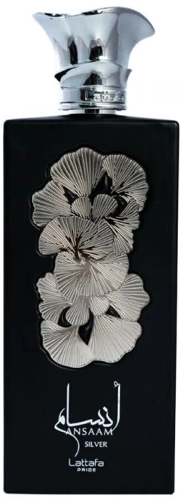 Ansaam Silver
