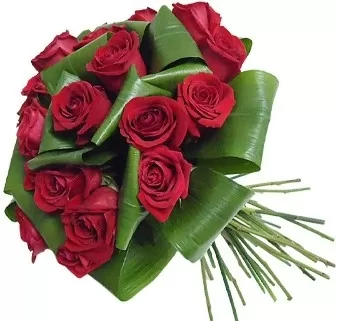 Comprar Bouquet 18 Rosas Rojas ▷ 