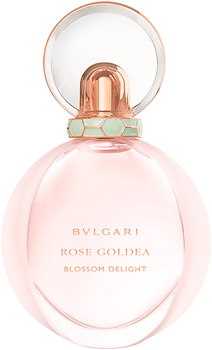 Rose Goldea Blossom Delight Rose Goldea Blossom Delight