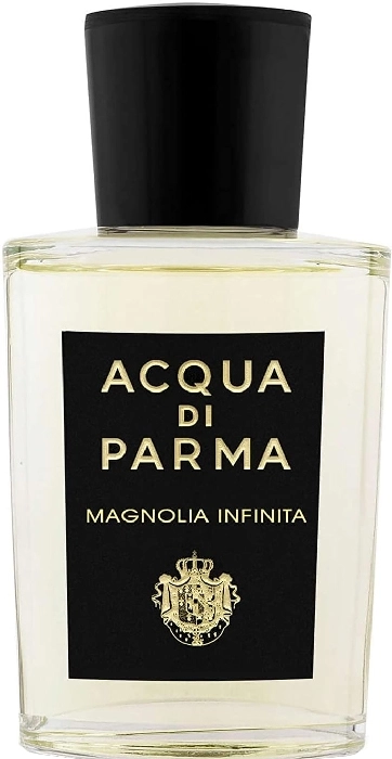 Magnolia Infinita