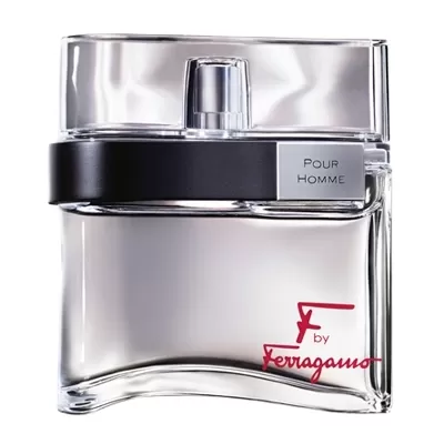 F by Ferragamo Pour Homme F by Ferragamo Pour Homme