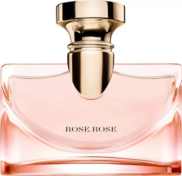 Splendida Rose Rose Splendida Rose Rose