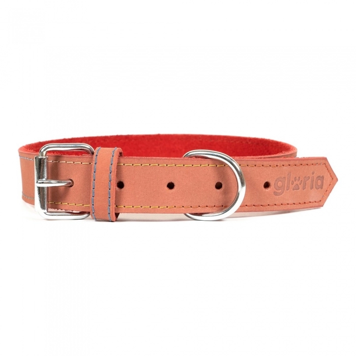 Collar para Perro Gloria Oasis Rojo (60 x 3 cm)