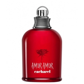 Amor Amor Amor Amor
