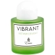 Emir Vibrant Vetiver Delight Eau De Parfum 100 ml (unisex)