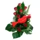 Abrazos 9 Rosas Rojas Abrazos 9 Rosas Rojas